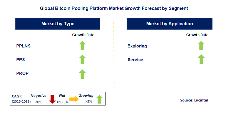 Bitcoin Pooling Platform Market by Segment